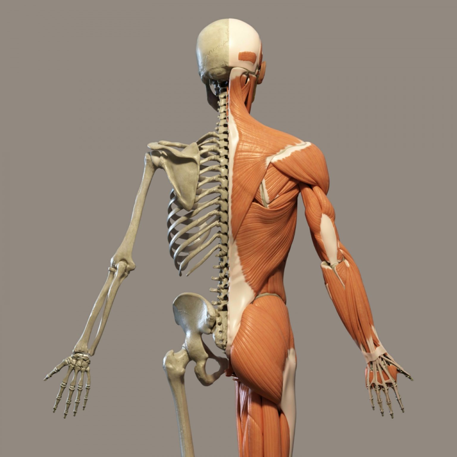 Joshua Blair Classical Osteopathy Calgary Joshua Blair Classical Osteopathy Better structure